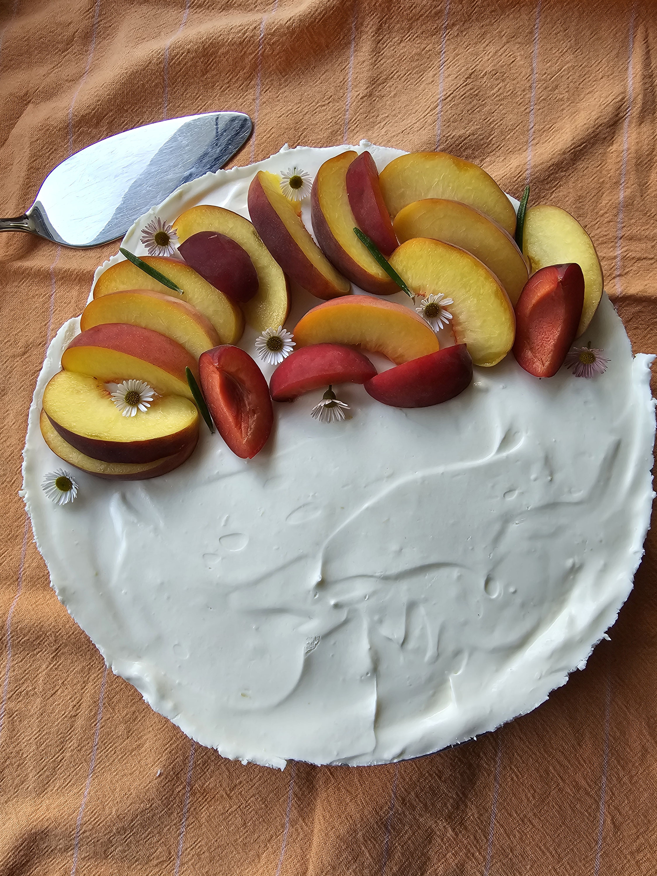 Fruchtiger Cheesecake Cake mit Pfirsichen und Aprikosen